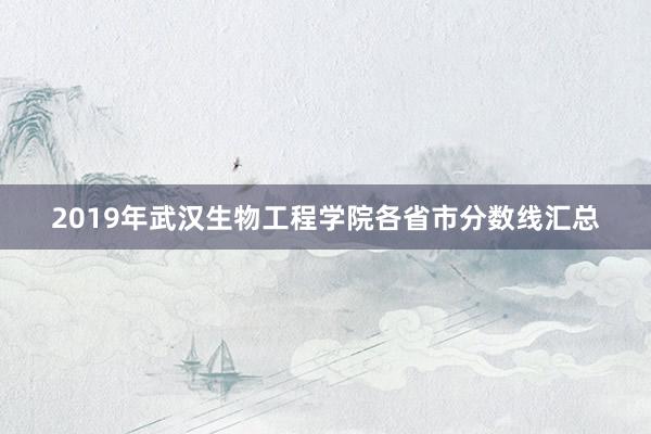 2019年武汉生物工程学院各省市分数线汇总